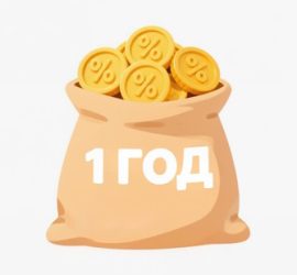 Изображение к статье: Сколько придётся заплатить, если взять заём на год?